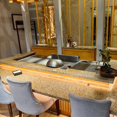 میز گریل تجاری تپانیاکی با فولاد آلیاژی درجه غذایی و گرمایش الکتریکی/گازی در اندازه 1200*850*800 میلی‌متر