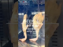 باد داغ چند عملکردی نمایش گرل مرغ اردک و گوسفند کباب فر